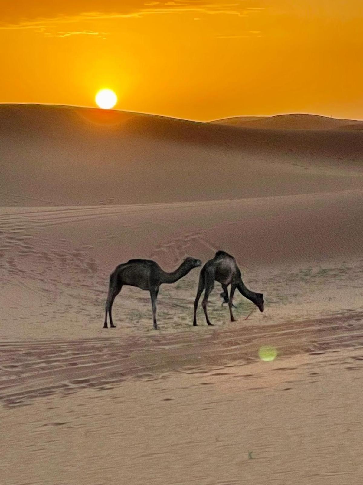 Chigaga Desert Camp M'Hamid Luaran gambar